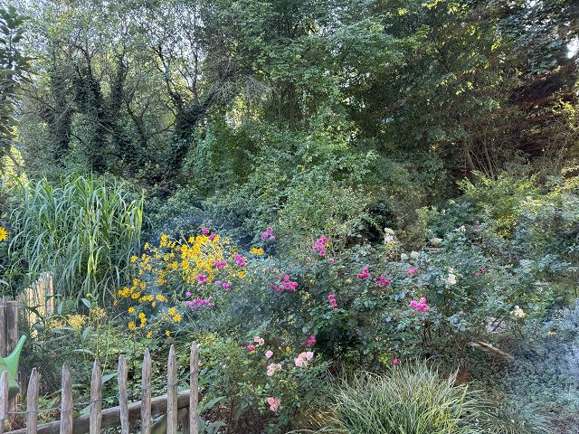 29-01-Blumeninsel 29-01-Blumeninsel